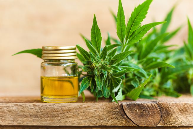 cbd oil and leaves